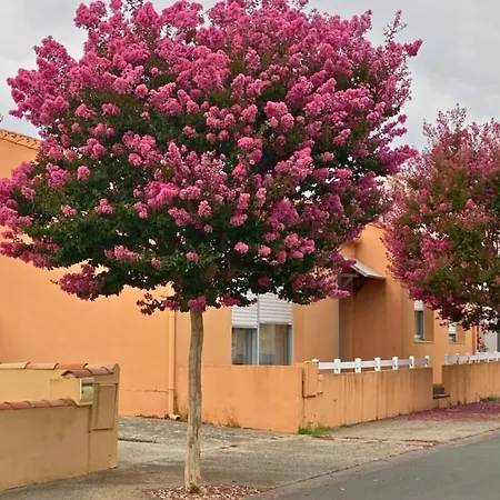 Maison Des Lilas - 5 People - Wifi - Enclosed Garden Σπίτι διακοπών